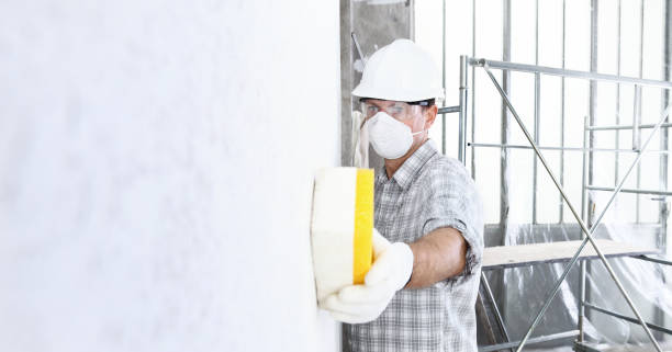  , USA Mold Removal & Remediation Pros